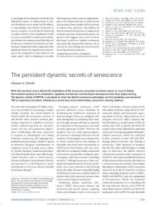 ncb3403-The persistent dynamic secrets of senescence