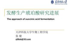 琥珀酸发酵研究进展