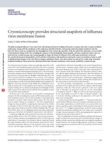 nsmb.3271-Cryomicroscopy provides structural snapshots of influenza virus membrane fusion