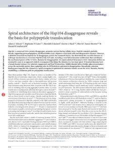 nsmb.3277-Spiral architecture of the Hsp104 disaggregase reveals the basis for polypeptide translocation
