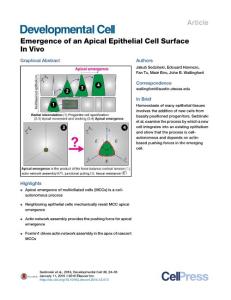 Developmental Cell-2016-Emergence of an Apical Epithelial Cell Surface In Vivo