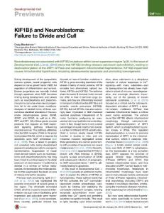 Developmental Cell-2016-KIF1Bβ and Neuroblastoma- Failure to Divide and Cull