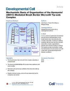 Developmental Cell-2016-Mechanistic Basis of Organization of the Harmonin-USH1C-Mediated Brush Border Microvilli Tip-Link Complex