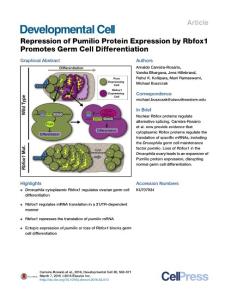 Developmental Cell-2016-Repression of Pumilio Protein Expression by Rbfox1 Promotes Germ Cell Differentiation