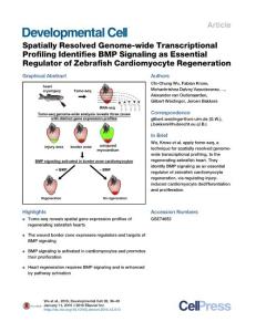Developmental Cell-2016-Spatially Resolved Genome-wide Transcriptional Profiling Identifies BMP Signaling as Essential Regulator of Zebrafish Cardiomyocyte Regeneration