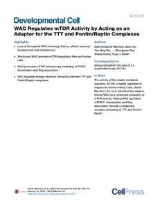 Developmental Cell-2016-WAC Regulates mTOR Activity by Acting as an Adaptor for the TTT and Pontin-Reptin Complexes