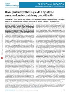 nchembio.2157-Divergent biosynthesis yields a cytotoxic aminomalonate-containing precolibactin