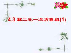 4.3解二元一次方程组(1)