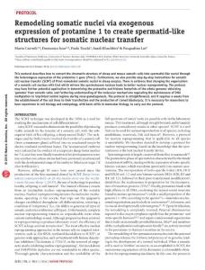 nprot.2016.130-Remodeling somatic nuclei via exogenous expression of protamine 1 to create spermatid-like structures for somatic nuclear transfer