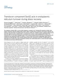 ncb3423-Translocon component Sec62 acts in endoplasmic reticulum turnover during stress recovery