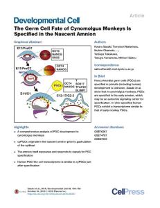 Developmental Cell-2016-The Germ Cell Fate of Cynomolgus Monkeys Is Specified in the Nascent Amnion