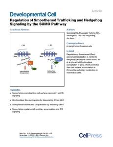 Developmental-Cell_2016_Regulation-of-Smoothened-Trafficking-and-Hedgehog-Signaling-by-the-SUMO-Pathway
