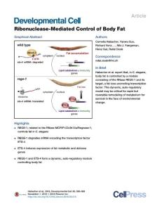 Developmental Cell-2016-Ribonuclease-Mediated Control of Body Fat