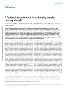 nn.4439-A feedback neural circuit for calibrating aversive memory strength