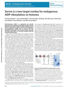 nchembio.2180-Serine is a new target residue for endogenous ADP-ribosylation on histones