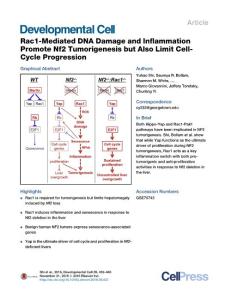 Developmental Cell-2016-Rac1-Mediated DNA Damage and Inflammation Promote Nf2 Tumorigenesis but Also Limit Cell-Cycle Progression