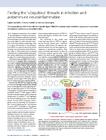 ni.3633-Finding the ´ubiquitous´ threads in infection and autoimmune neuroinflammation