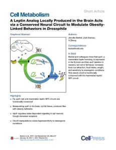 Cell Metabolism-2017-A Leptin Analog Locally Produced in the Brain Acts via a Conserved Neural Circuit to Modulate Obesity-Linked Behaviors in Drosophila