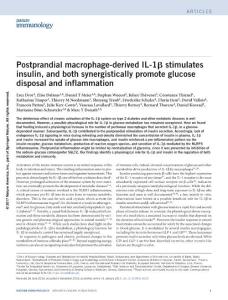 ni.3659-Postprandial macrophage-derived IL-1β stimulates insulin, and both synergistically promote glucose disposal and inflammation