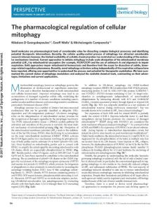 nchembio.2287-The pharmacological regulation of cellular mitophagy