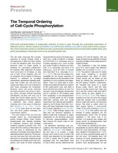 Molecular Cell-2017-The Temporal Ordering of Cell-Cycle Phosphorylation