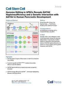 Cell Stem Cell-2017-Genome Editing in hPSCs Reveals GATA6 Haploinsufficiency and a Genetic Interaction with GATA4 in Human Pancreatic Development