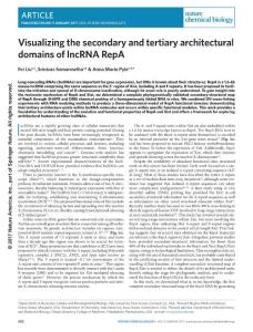 nchembio.2272-Visualizing the secondary and tertiary architectural domains of lncRNA RepA