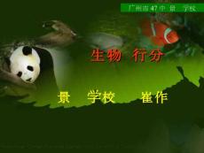 尝试对生物进行分类