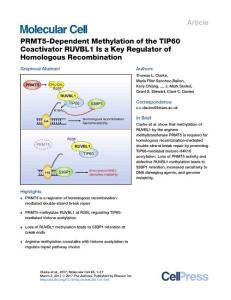 Molecular Cell-2017-PRMT5-Dependent Methylation of the TIP60 Coactivator RUVBL1 Is a Key Regulator of Homologous Recombination