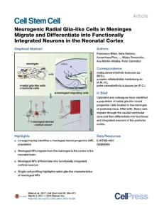 Cell Stem Cell-2017-Neurogenic Radial Glia-like Cells in Meninges Migrate and Differentiate into Functionally Integrated Neurons in the Neonatal Cortex