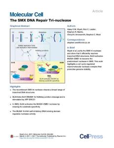 Molecular Cell-2017-The SMX Repair Tri-nuclease