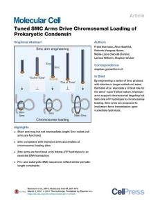 Molecular Cell-2017-Tuned SMC Arms Drive Chromosomal Loading of Prokaryotic Condensin