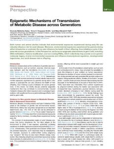 Cell Metabolism-2017-Epigenetic Mechanisms of Transmission of Metabolic Disease across Generations