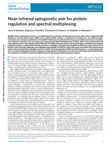 nchembio.2343-Near-infrared optogenetic pair for protein regulation and spectral multiplexing