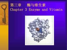 第三章 酶CHAPTER 3 ENZYME