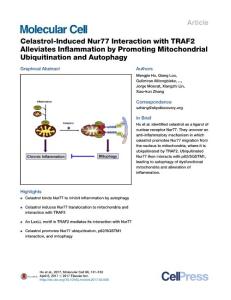 Molecular Cell-2017-Celastrol-Induced Nur77 Interaction with TRAF2 Alleviates Inflammation by Promoting Mitochondrial Ubiquitination and Autophagy