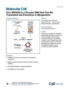 Molecular Cell-2017-Circ-ZNF609 Is a Circular RNA that Can Be Translated and Functions in Myogenesis