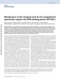 ni.3724-Maintenance of the marginal-zone B cell compartment specifically requires the RNA-binding protein ZFP36L1