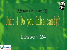 人教新版小学英语三年级下册课件LESSON24