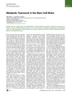 Cell Metabolism-2017-Metabolic Teamwork in the Stem Cell Niche
