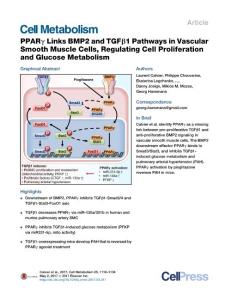 Cell Metabolism-2017-PPARγ Links BMP2 and TGFβ1 Pathways in Vascular Smooth Muscle Cells, Regulating Cell Proliferation and Glucose Metabolism