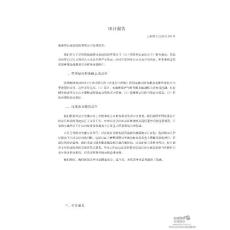 梦洁家纺：2010年年度审计报告