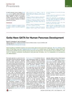 Cell Stem Cell-2017-Gotta Have GATA for Human Pancreas Development