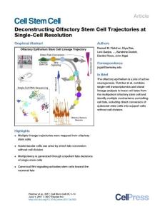 Cell Stem Cell-2017-Deconstructing Olfactory Stem Cell Trajectories at Single-Cell Resolution