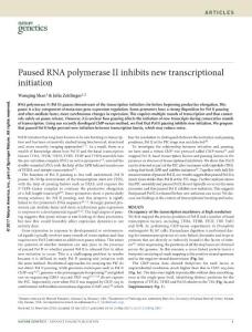 ng.3867-Paused RNA polymerase II inhibits new transcriptional initiation