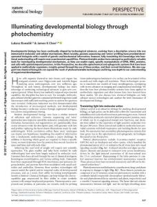 nchembio.2369-Illuminating developmental biology through photochemistry