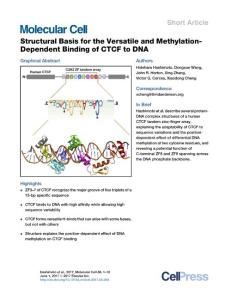 Molecular Cell-2017-Structural Basis for the Versatile and Methylation-Dependent Binding of CTCF to DNA