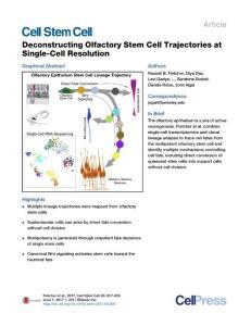 Cell Stem Cell-2017-Deconstructing Olfactory Stem Cell Trajectories at Single-Cell Resolution