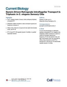 Current-Biology_2017_Dynein-Driven-Retrograde-Intraflagellar-Transport-Is-Triphasic-in-C-elegans-Sensory-Cilia