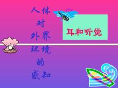人体对外界环境的感知2